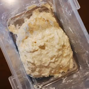 乳清全麥吐司（波蘭種）