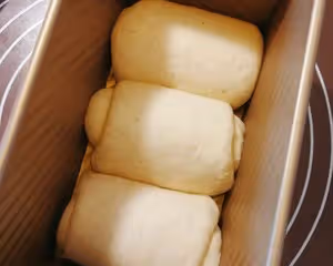 乳清全麥吐司（波蘭種）