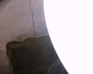 蒜蓉漢菜