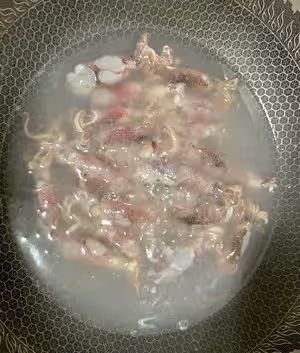 好吃到蔥都吃光光的 蔥爆小魷魚