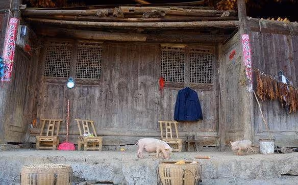 娶了老婆忘了媽!63歲母親「被兒子趕出家門」只給一件破大衣 半路一摸口袋哭了:真孝順