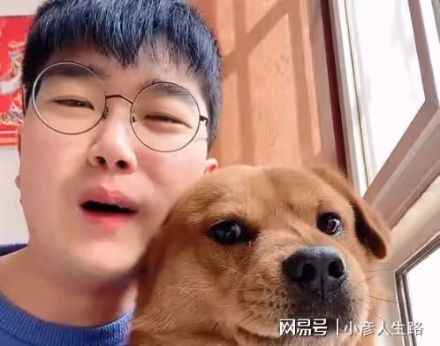 網紅狗小胖被虐後續!當事人從小精神分裂,揚言出200W者把狗帶走