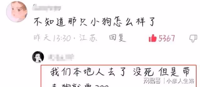 網紅狗小胖被虐後續!當事人從小精神分裂,揚言出200W者把狗帶走
