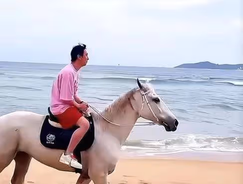 王思聰與美女海邊騎馬,滿臉通紅眉頭緊皺,髮際線上移宛如小老頭