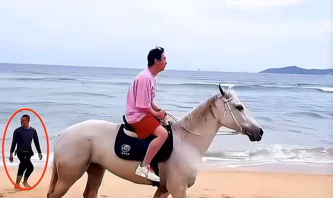 王思聰與美女海邊騎馬,滿臉通紅眉頭緊皺,髮際線上移宛如小老頭