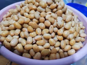 忘不了的醬豆子