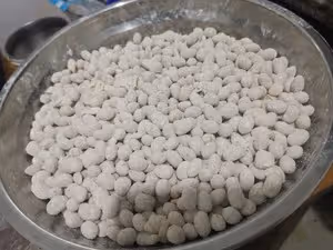 忘不了的醬豆子