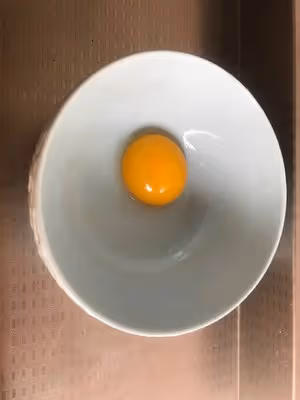 蛋撻皮熱狗🌭️ 消耗蛋撻皮