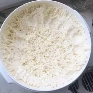 我們家最愛吃的素餡兒包子—尖椒茄子包