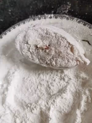 紅燒鮰魚（江團魚）
