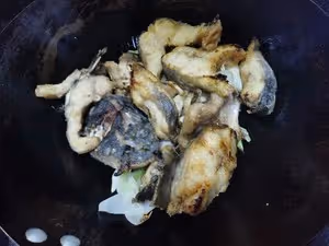 紅燒鮰魚（江團魚）