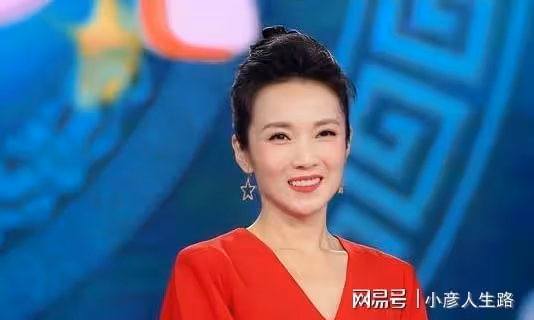 管彤:無緣央視春晚主持,與韓紅緋聞有關?把育兒當成事業