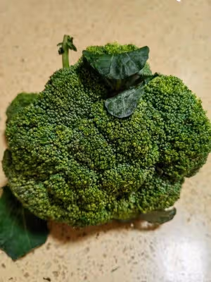 零失敗的西蘭花炒蝦仁