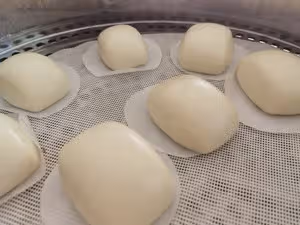 純手工白饅頭(成功率100%)