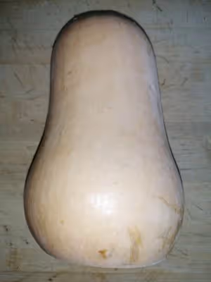 豆豉排骨蒸南瓜