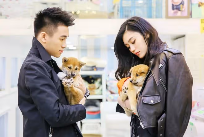 娛樂圈「沒辦婚禮」的明星夫妻，有的兒女成群，有的早已分道揚鑣