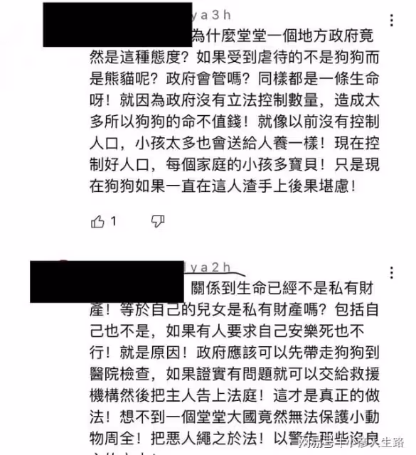 小胖科學家就虐狗事報警,父親稱其有精神分裂,國外網友跟著裹亂