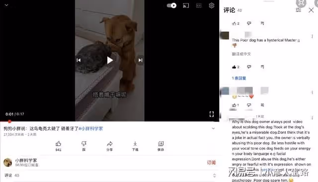 小胖科學家就虐狗事報警，父親稱其有精神分裂，國外網友跟著裹亂
