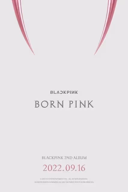 BLACKPINK正規二輯《BORN PINK》將於9月16日發行!