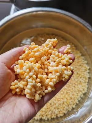 脫皮綠豆做涼粉