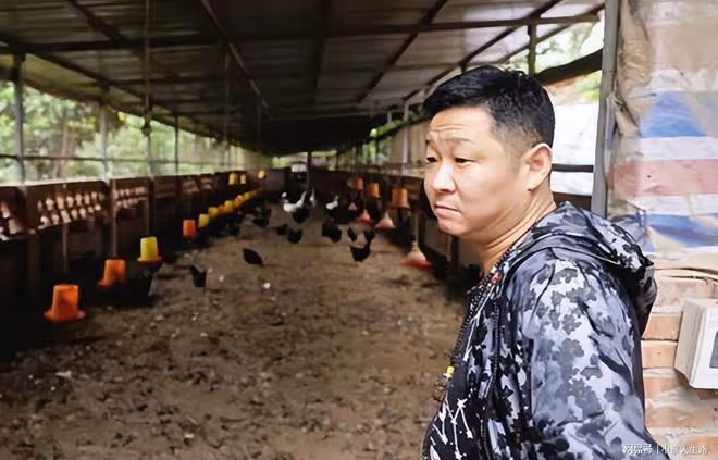 「三德子」炒柴火雞,稱每隻雞都要跑150萬步,688元價格被嘲太貴