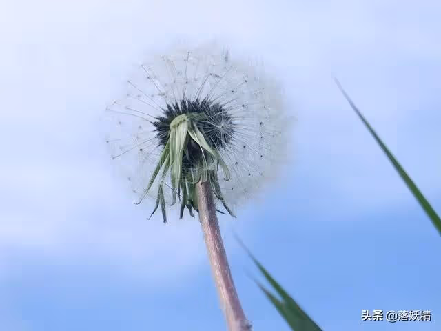 丈夫婚前買房寫婆婆名,工資還貸只剩1000讓妻子養,妻子:夫妻AA