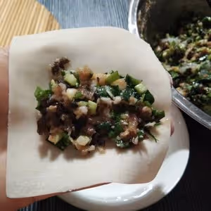 歷史上包法最簡單的鍋貼～沒有之一                           韭菜蝦仁餛飩皮鍋貼