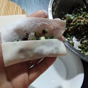 歷史上包法最簡單的鍋貼～沒有之一                           韭菜蝦仁餛飩皮鍋貼