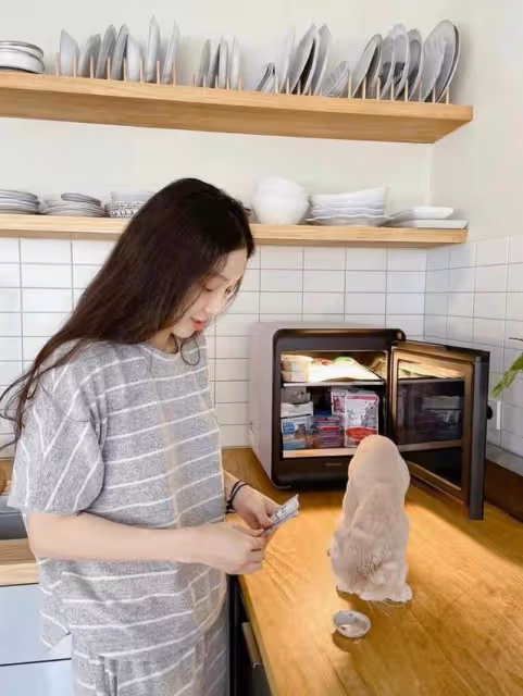 41歲鄭麗媛獨居19年，書牆衣帽間那叫一個震撼，簡直是人間理想