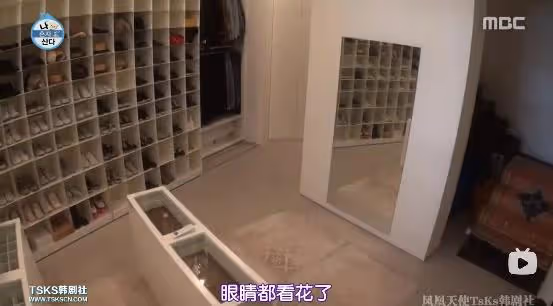 41歲鄭麗媛獨居19年，書牆衣帽間那叫一個震撼，簡直是人間理想