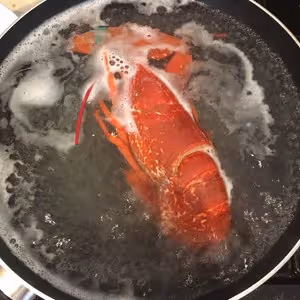 龍蝦寬意面 Fresh Lobster Tagliatelle 在家做出米其林的味道