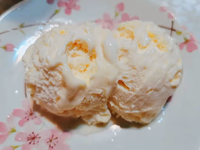 【生酮低碳】4種材料簡易冰淇淋冰激凌，無蛋無需攪拌無冰渣超快手