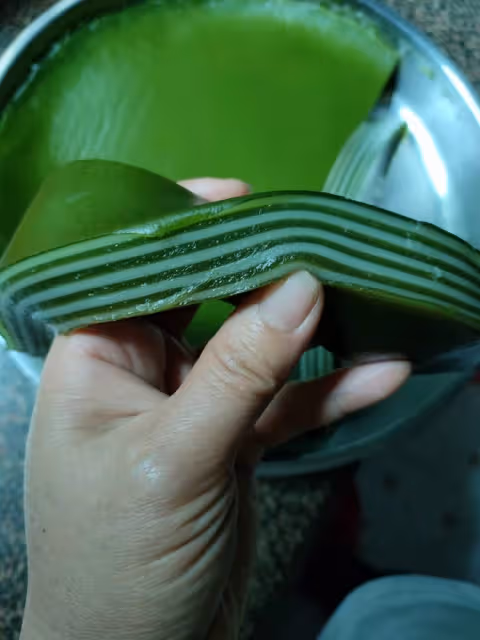百變木薯粉版千層糕（艾葉千層、芝麻糕、紅棗糕、斑斕椰汁千層糕等）