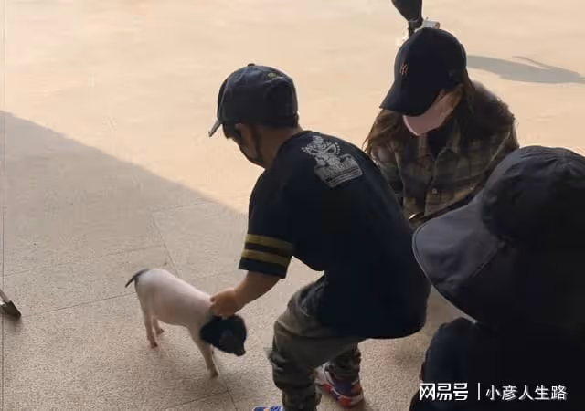 黃曉明楊穎輪流帶娃？5歲小海綿蹦跳好活潑，爸爸全程低頭看手機