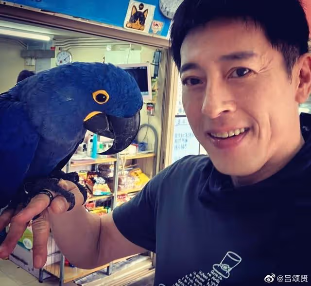 8年前主演新劇終播!知名港星宣傳片中被消失,怒斥片方消費自己