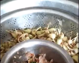 酸辣茭頭藠頭酸