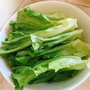 蚝油生菜