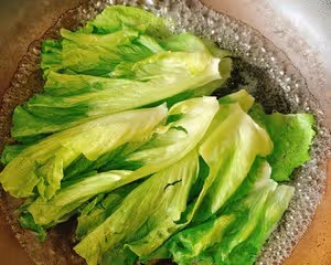 蚝油生菜