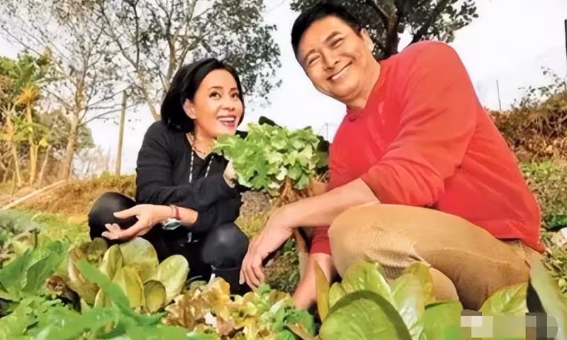 36年後再看陳薈蓮,才懂周潤發為何對她太心疼,人生太傳奇