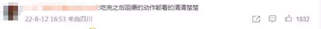 楊紫劉學義高清視頻曝光!曝知名娛記花20萬買下,藉此勒索3次