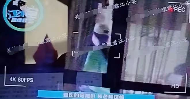 楊紫劉學義高清視頻曝光!曝知名娛記花20萬買下,藉此勒索3次