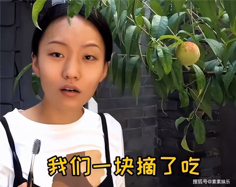 瘋產姐妹解散背後原因:4000萬帳號歸張小花,邵雨軒同樣也開心