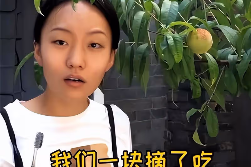 瘋產姐妹解散原因公開：邵雨軒失去帳號，和張小花一樣成為贏家