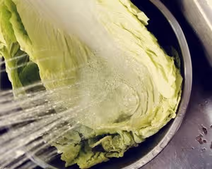 白菜粉條肉包子•膠東手切