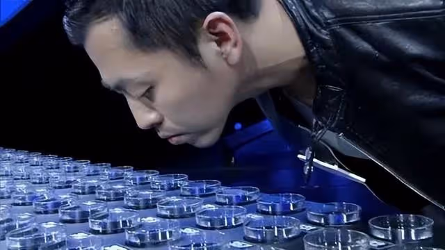 《最強大腦》7位選手現狀:多人風光不再,有人口碑崩了婚也離了
