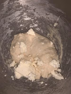 超軟奶酪蔓越莓小餐包｜波蘭種&amp;冷藏發酵