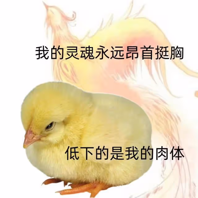 韓國一線女星曬畫照,人身狗頭等,內容讓人浮想聯翩