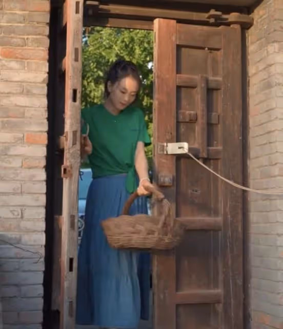 王艷北京郊區農場曝光!院子古樸雅致價值非凡