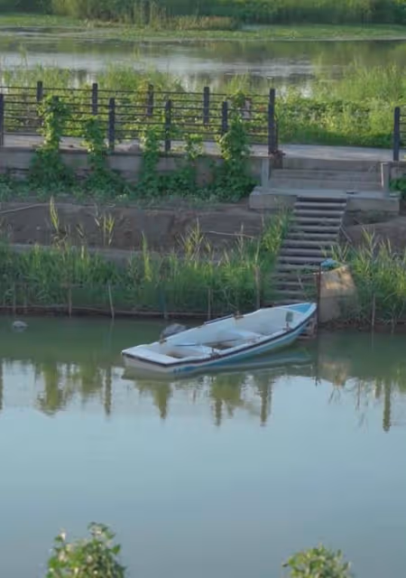 王艷北京郊區農場曝光!院子古樸雅致價值非凡