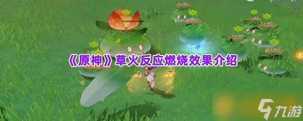《原神》草火反應燃燒效果介紹